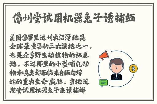 性108式名称和动作图解